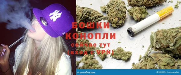 прущие грибы Богородицк