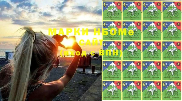 прущие грибы Богородицк