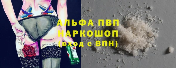 гидра Верхний Тагил