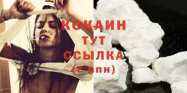 гидра Верхний Тагил