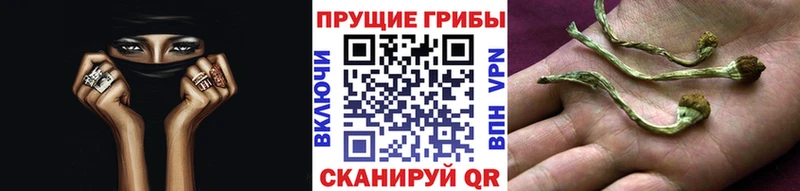 Псилоцибиновые грибы мицелий  Усть-Джегута 